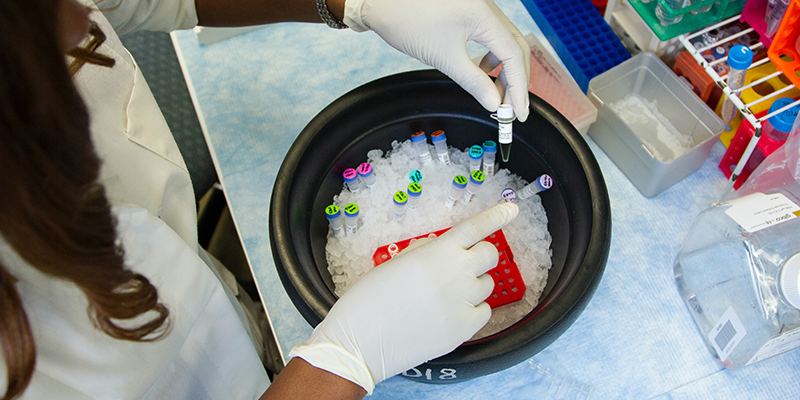 Laboratory Researcher setting up genetic samples and primers for polymerase chain reaction.