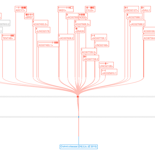 Screenshot of the Open Targets Genetics locus plot visualisation showing studies connected to lead and tag variants and genes